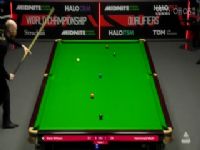 ˹ŵʸ96646432 ѷ8-1¡ǣһ׶Σ 20250413